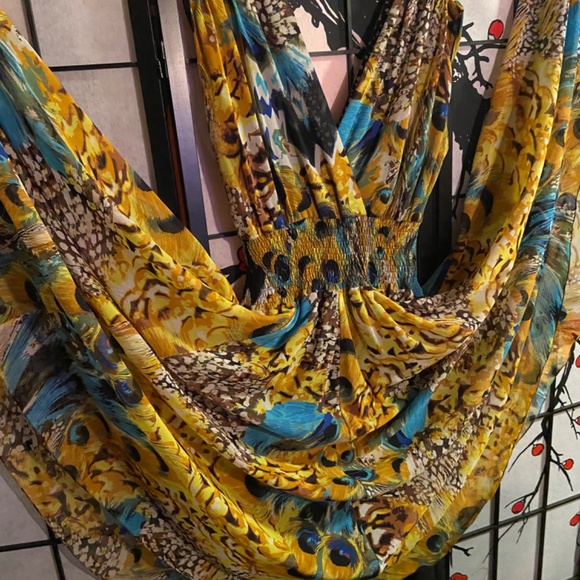 Peacock chiffon dress with full lining - Picture 2 of 3